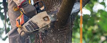 Soil Testing and Treatment in Harleigh, PA